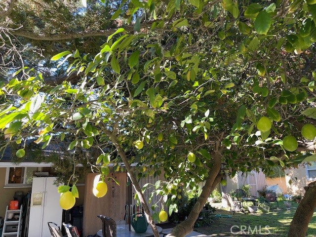 MLS #SR25272087 image #36