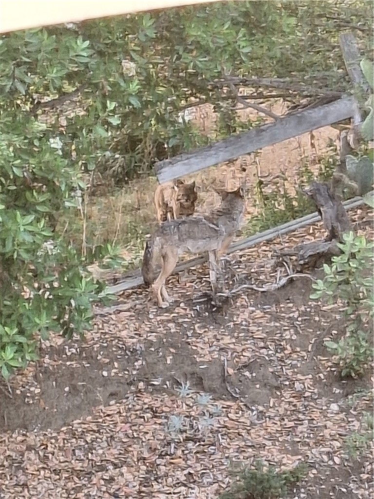 MLS #SR25272721 image #37