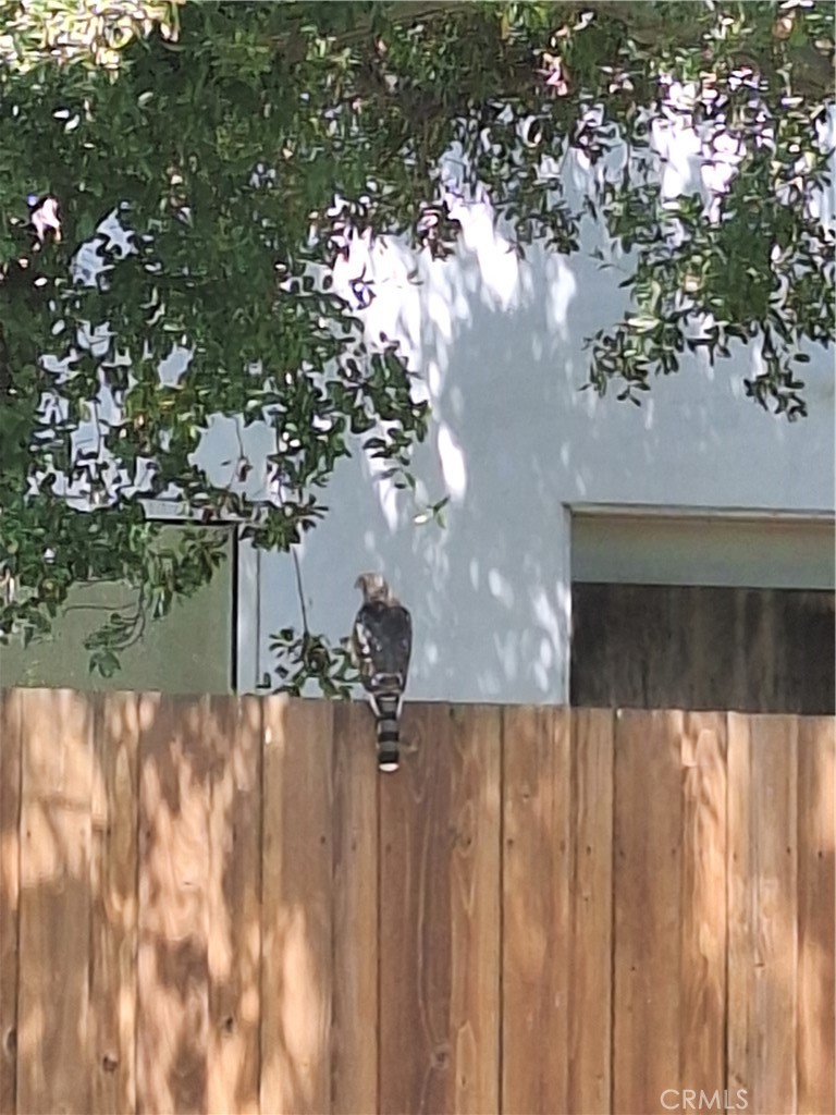 MLS #SR25272721 image #38