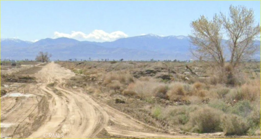 MLS #SR25272843 image #7