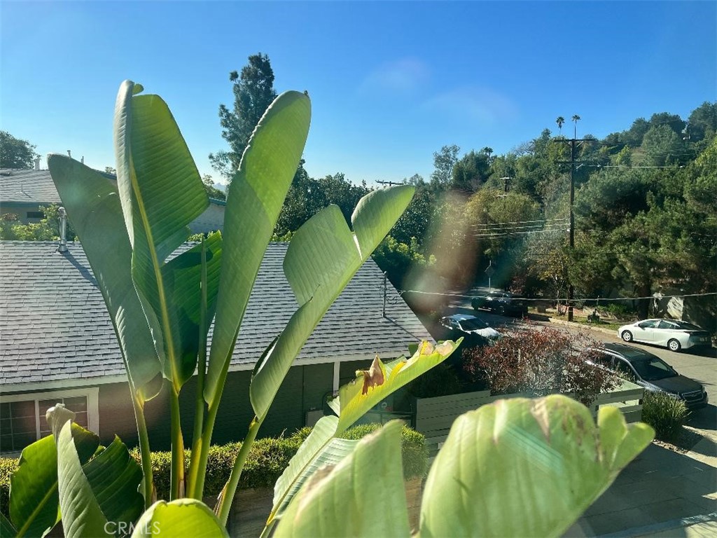 MLS #SR25273441 image #23