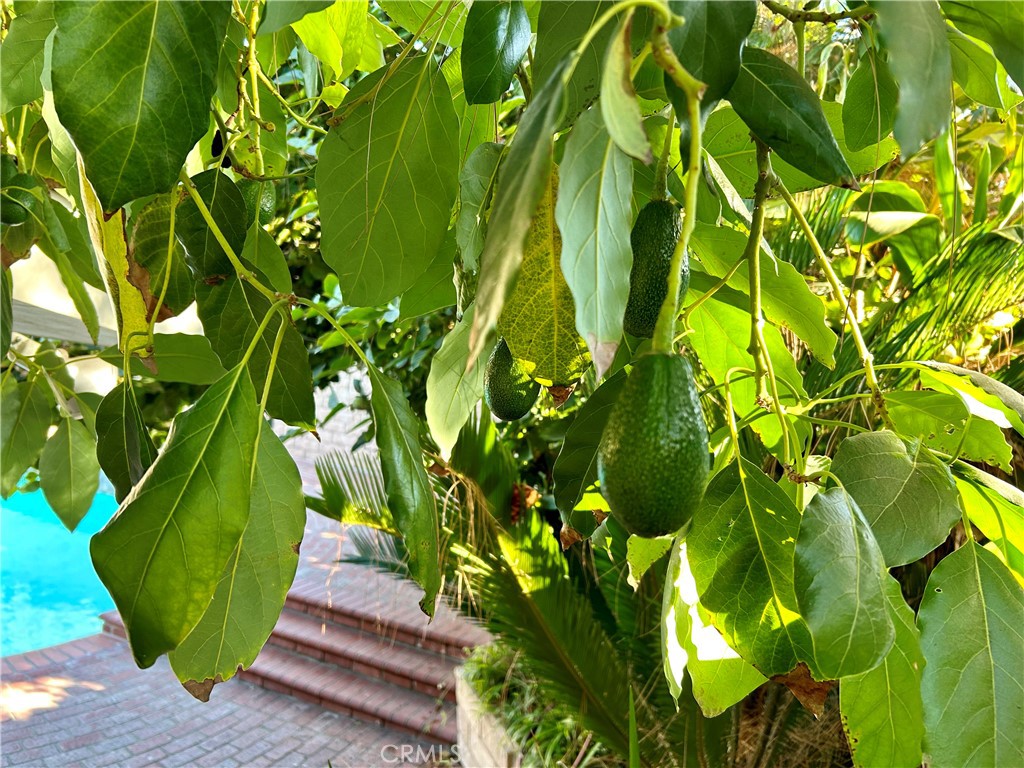 MLS #SR25274269 image #23