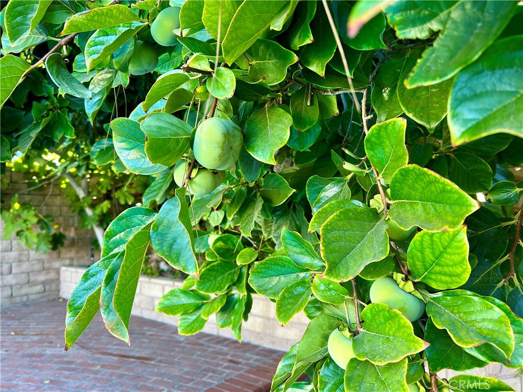 MLS #SR25274269 image #24