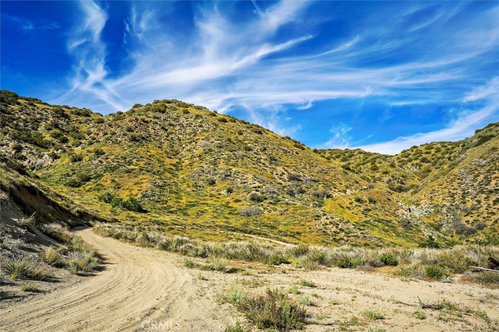 MLS #SR25274437 image #12