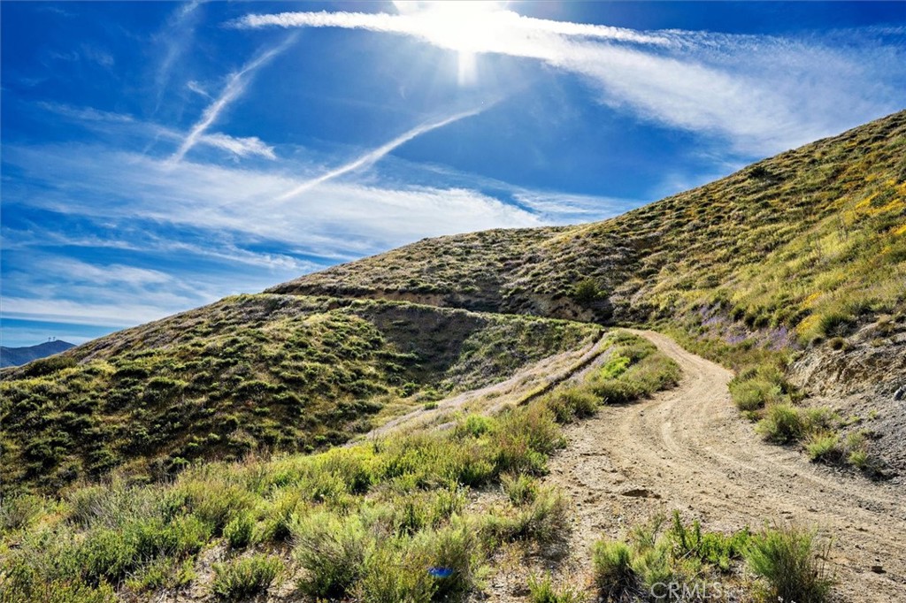 MLS #SR25274437 image #14