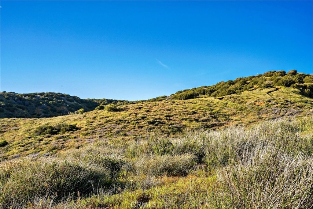 MLS #SR25274437 image #17