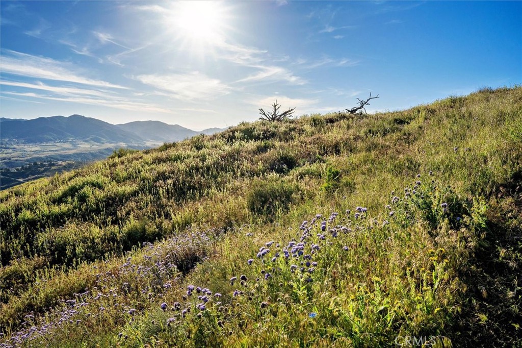 MLS #SR25274437 image #22