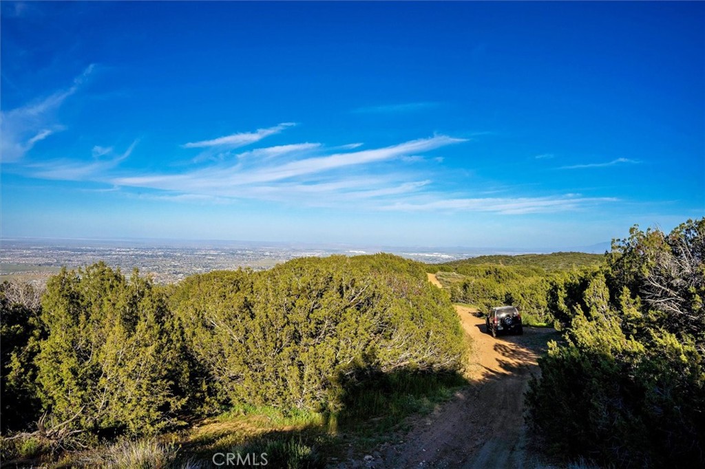 MLS #SR25274437 image #23