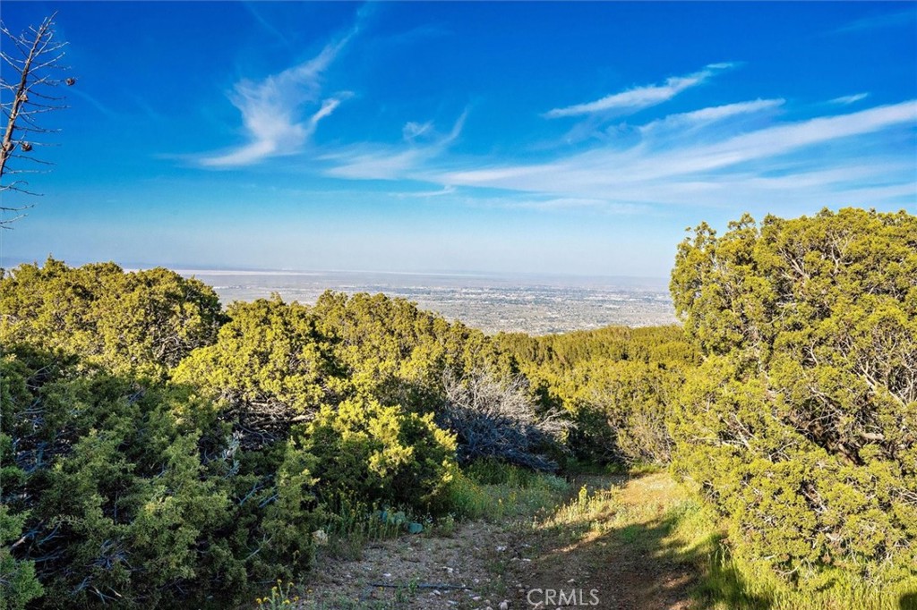 MLS #SR25274437 image #24