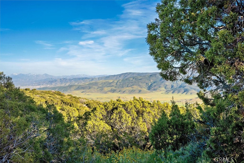 MLS #SR25274437 image #28