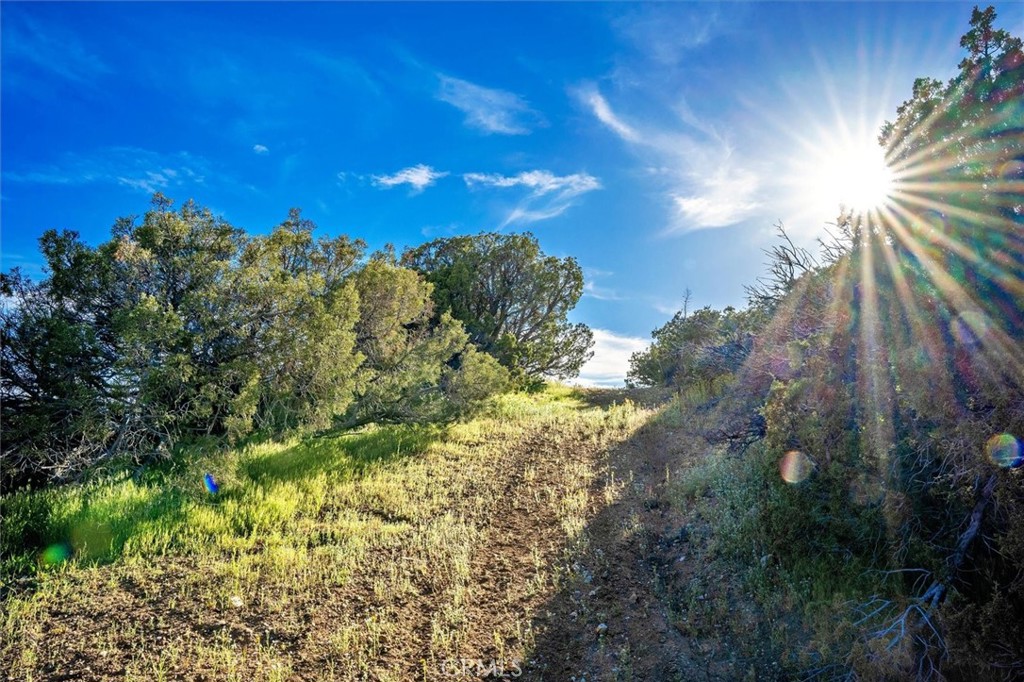 MLS #SR25274437 image #29