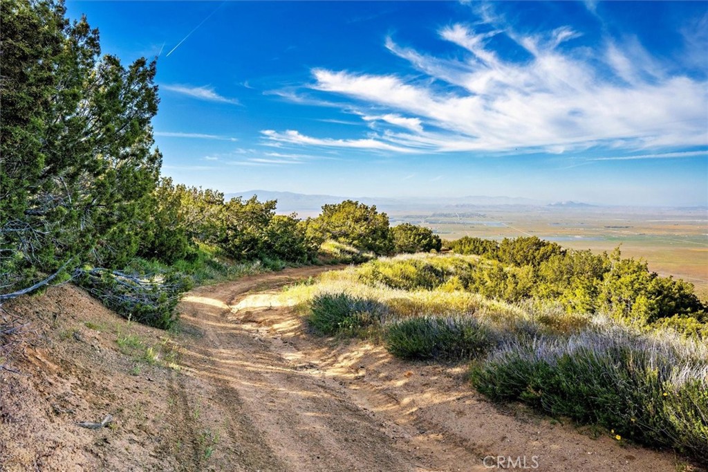 MLS #SR25274437 image #3