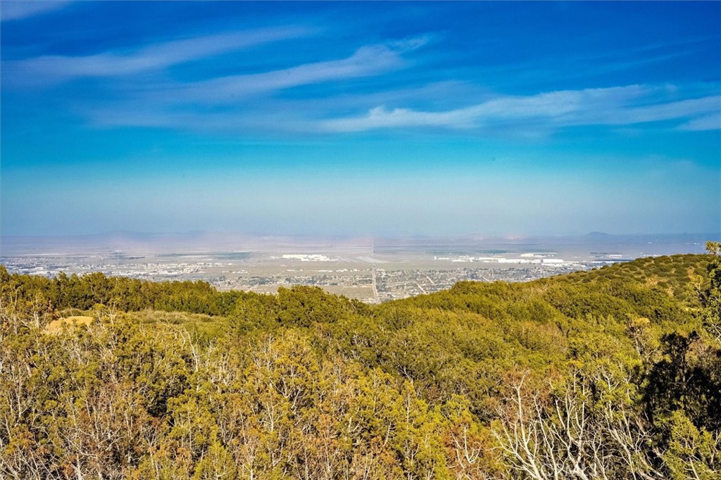 MLS #SR25274437 image #30