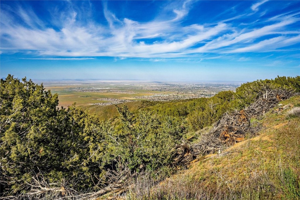 MLS #SR25274437 image #4