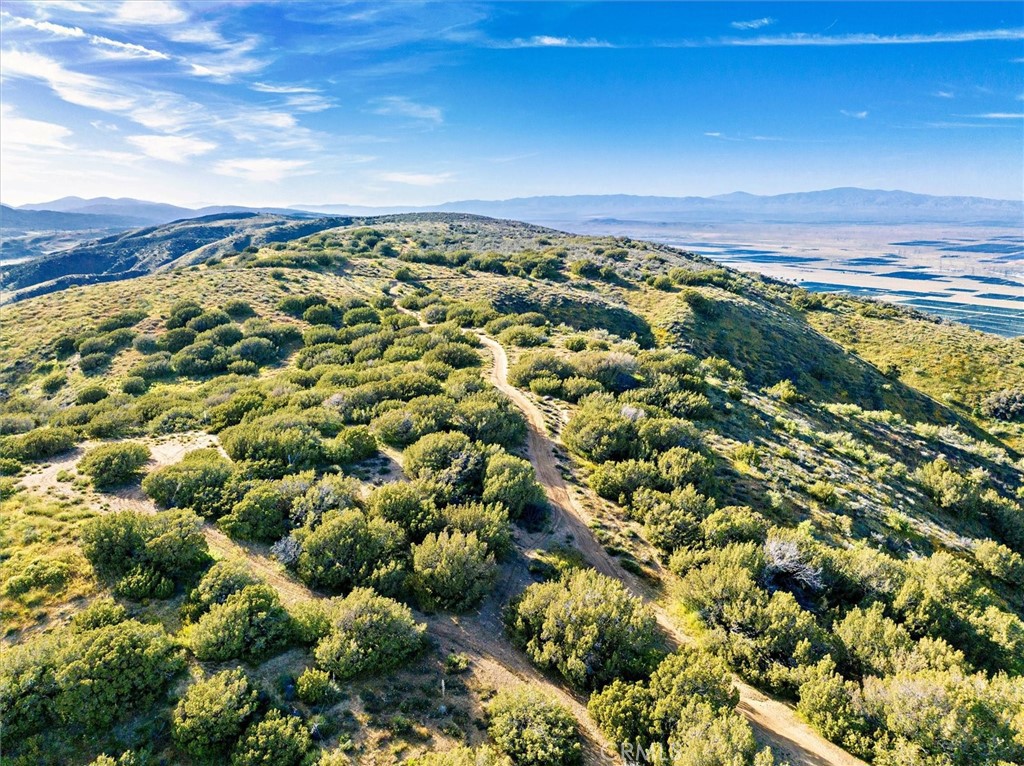 MLS #SR25274437 image #42