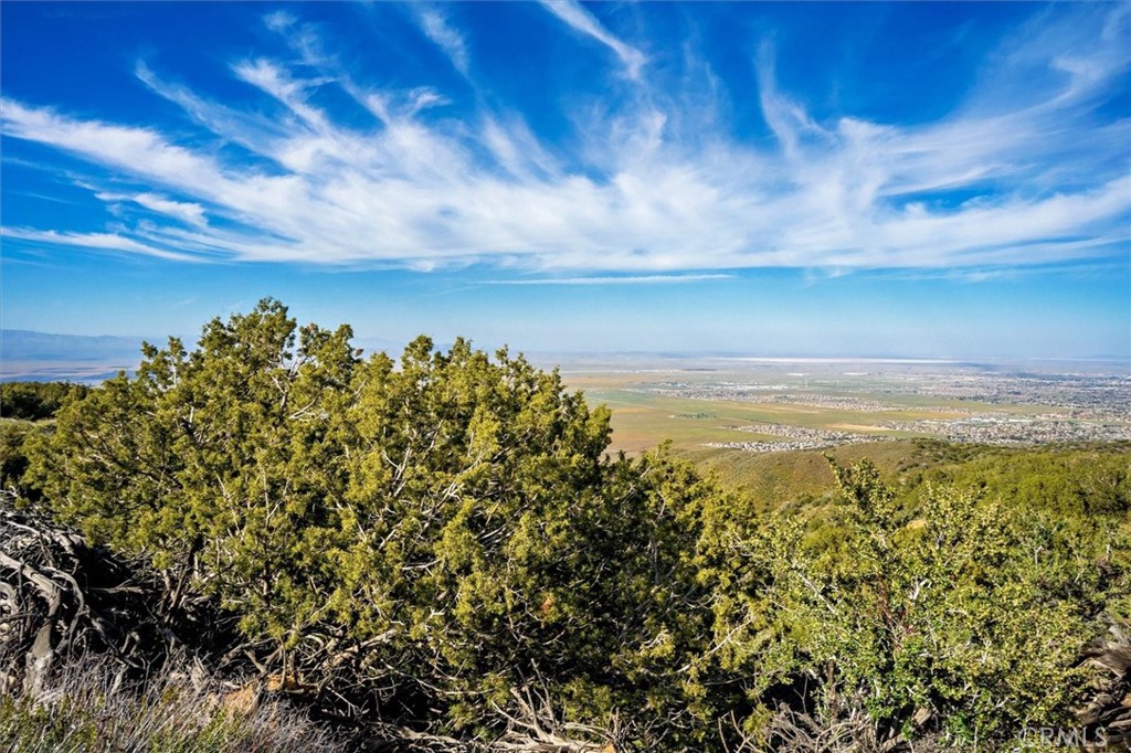 MLS #SR25274437 image #5