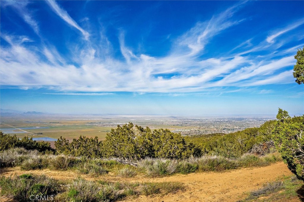 MLS #SR25274437 image #6