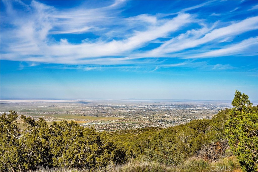 MLS #SR25274437 image #7