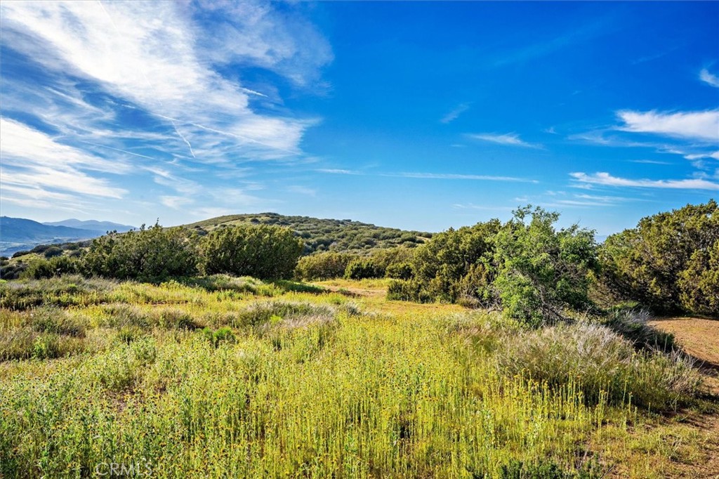 MLS #SR25274437 image #8