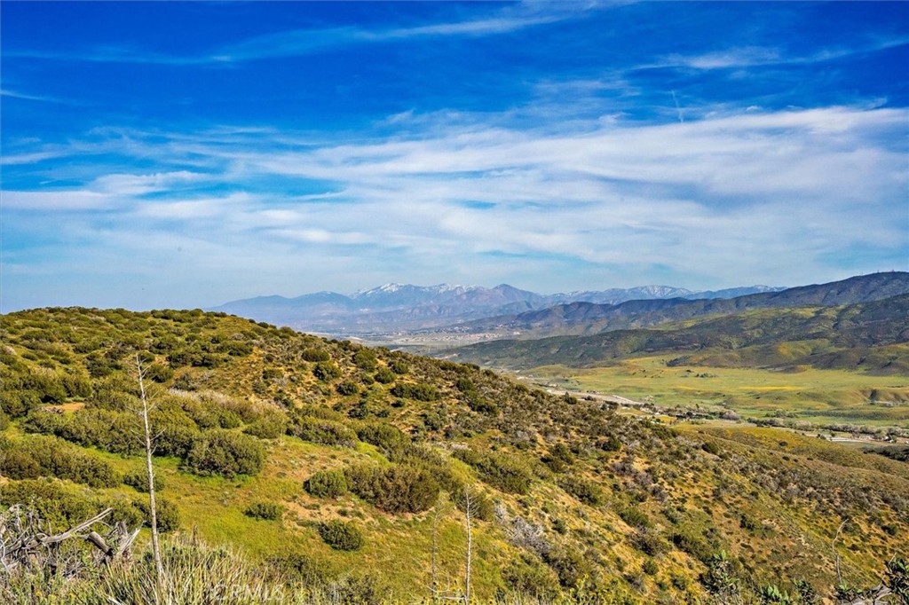 MLS #SR25274437 image #9