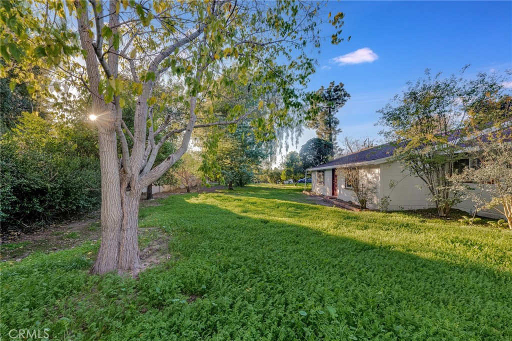 MLS #SR25274651 image #34