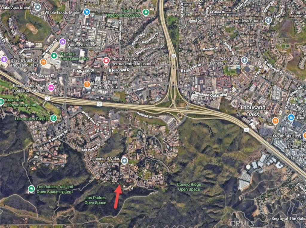 MLS #SR25274785 image #6