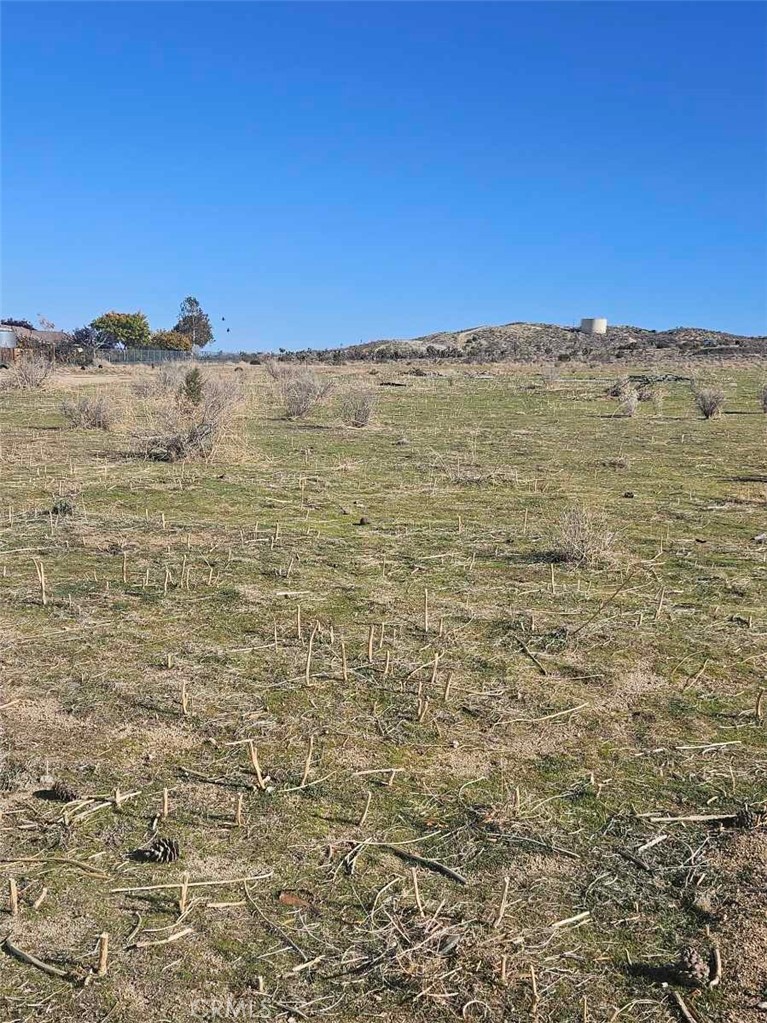 MLS #SR25275218 image #3