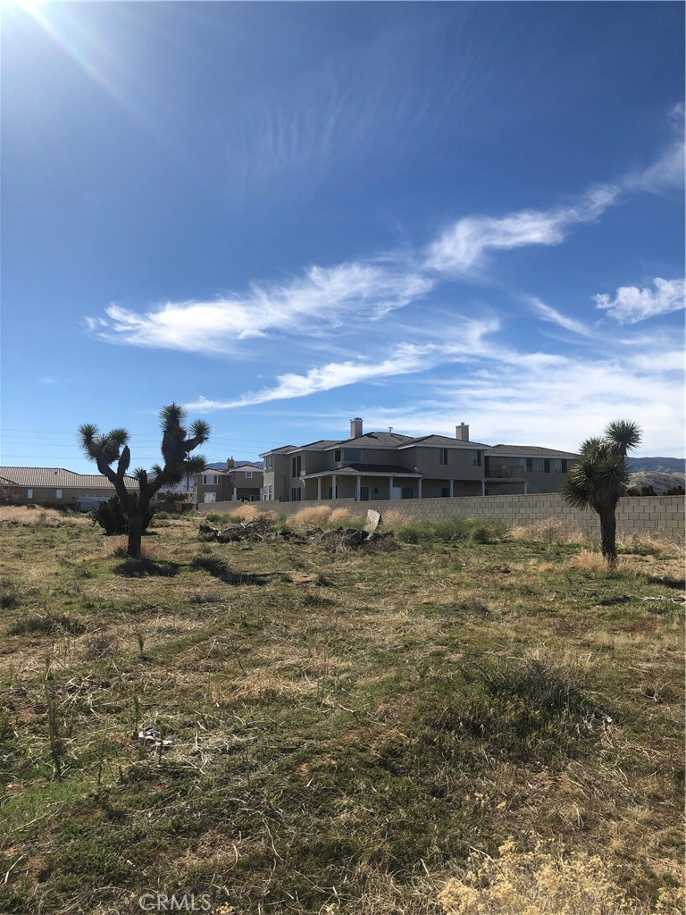 MLS #SR25275298 image #4