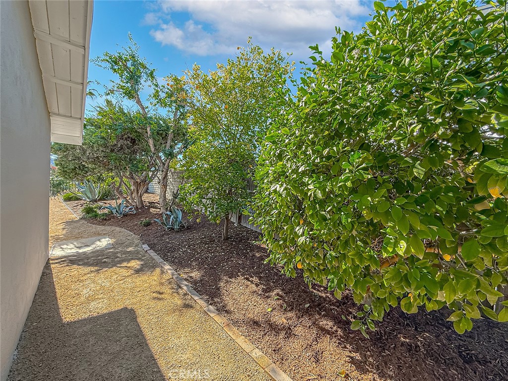 MLS #SR25275474 image #67