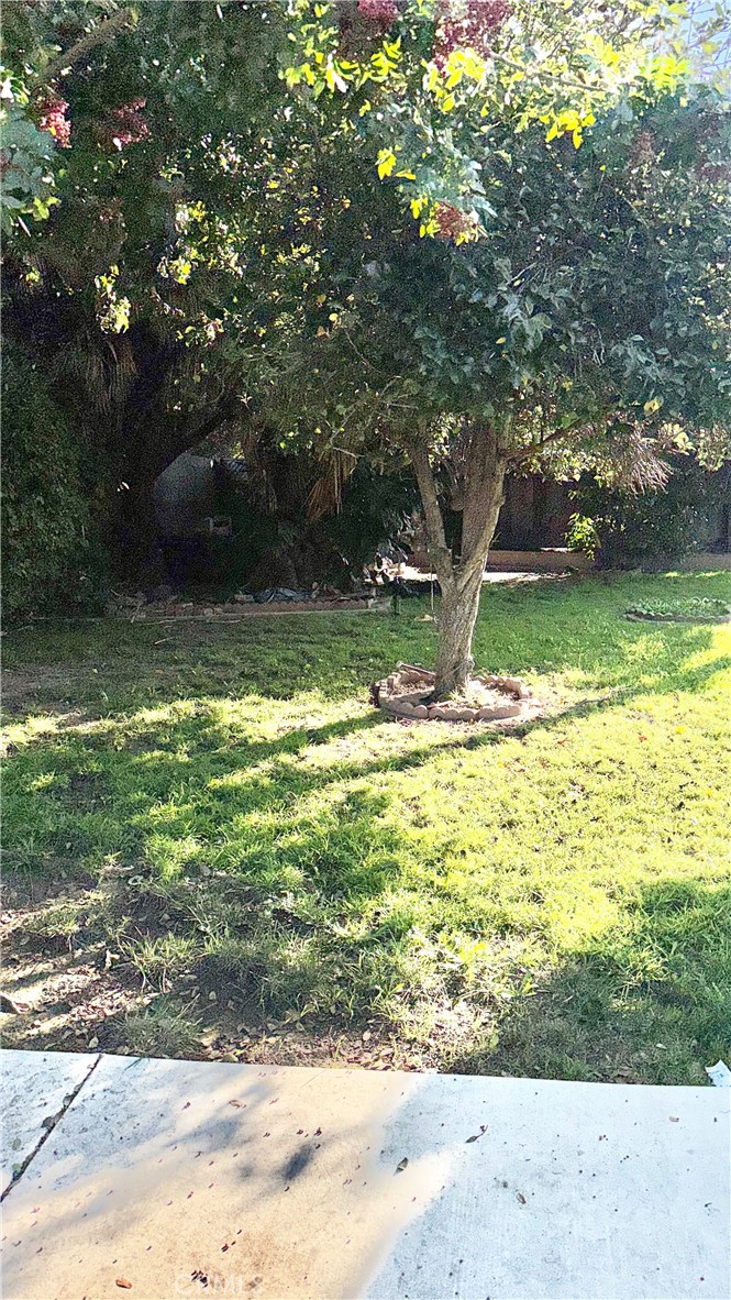 MLS #SR25275520 image #3