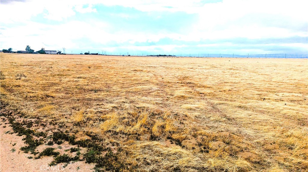 MLS #SR25275946 image #0