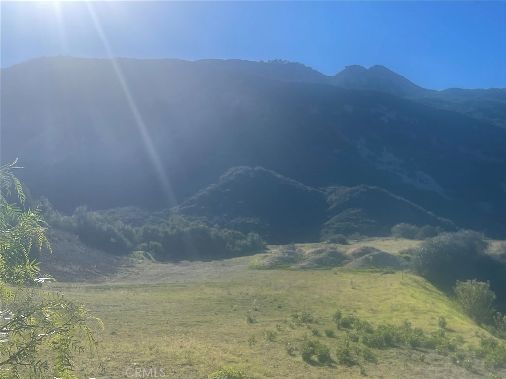 MLS #SR25277719 image #10