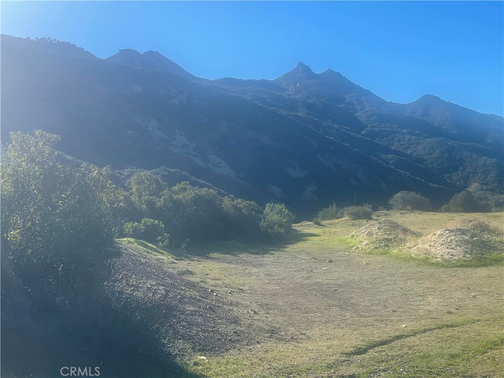 MLS #SR25277719 image #11