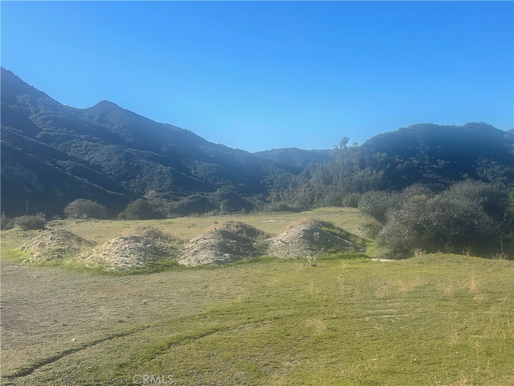 MLS #SR25277719 image #12