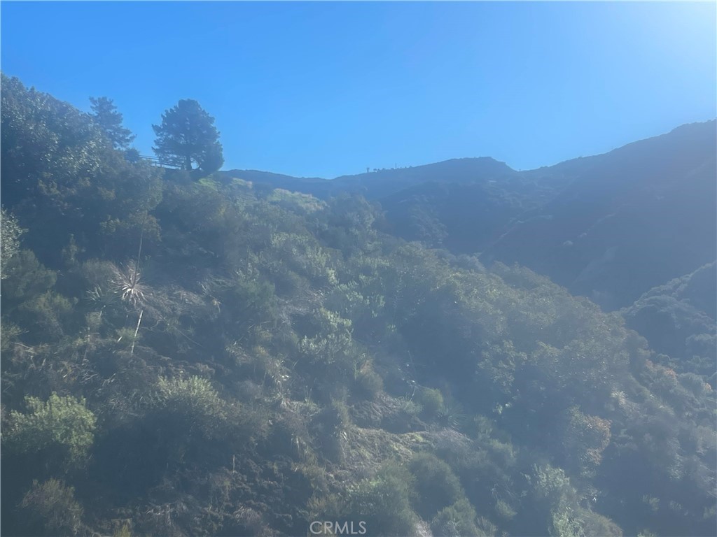 MLS #SR25277719 image #14