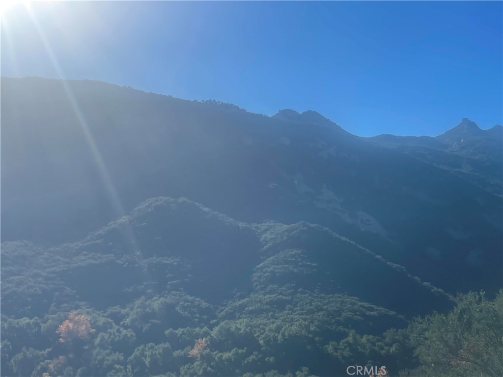 MLS #SR25277719 image #15