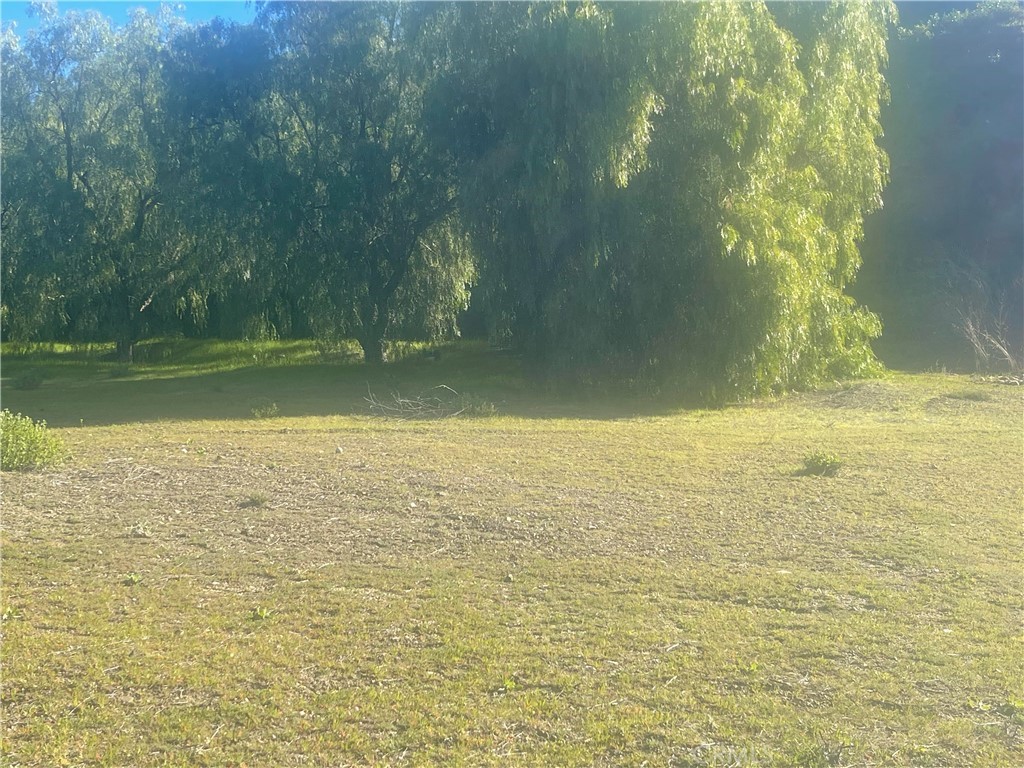 MLS #SR25277719 image #5