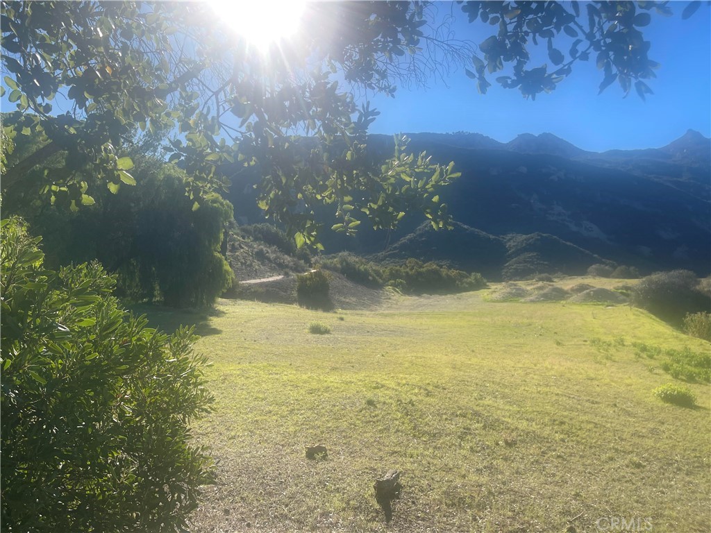 MLS #SR25277719 image #6