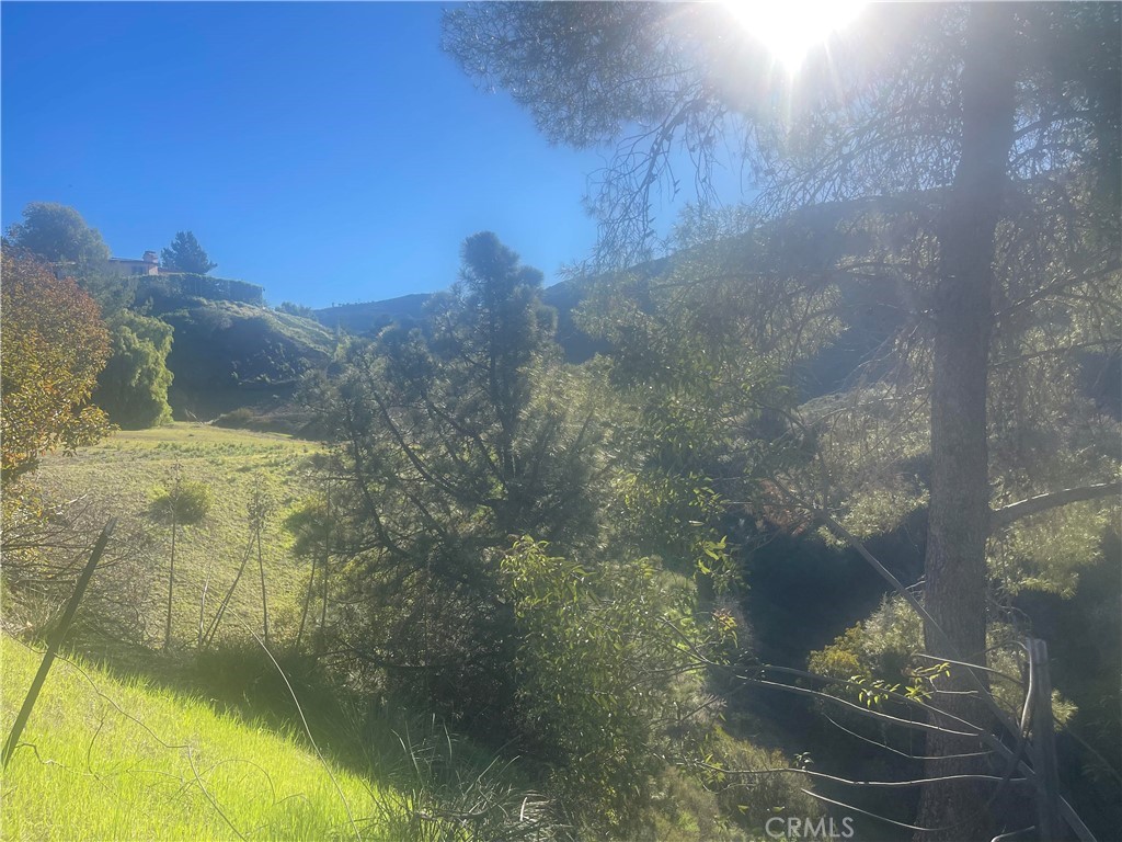 MLS #SR25277719 image #8