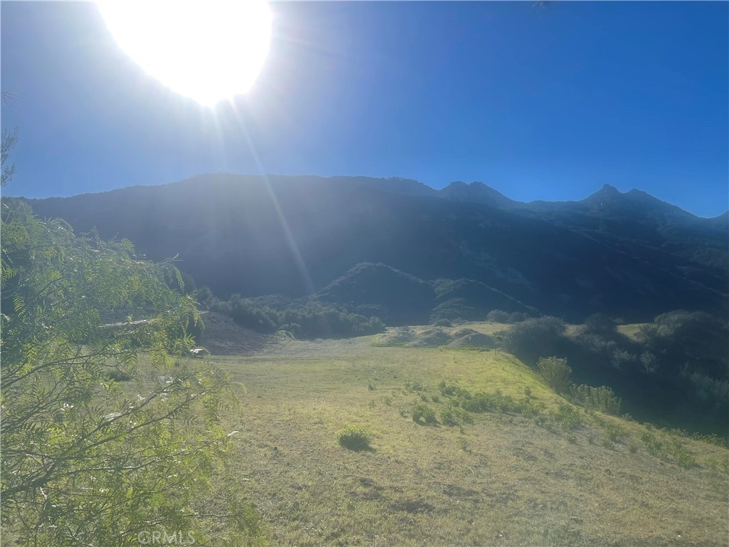 MLS #SR25277719 image #9