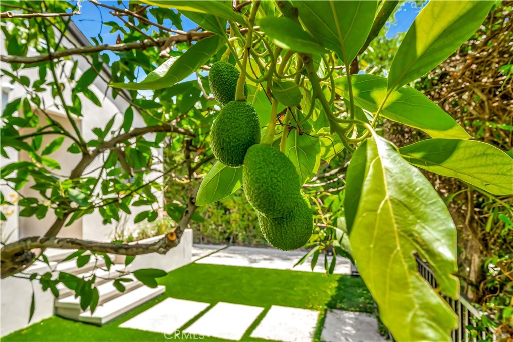 MLS #SR25277811 image #52