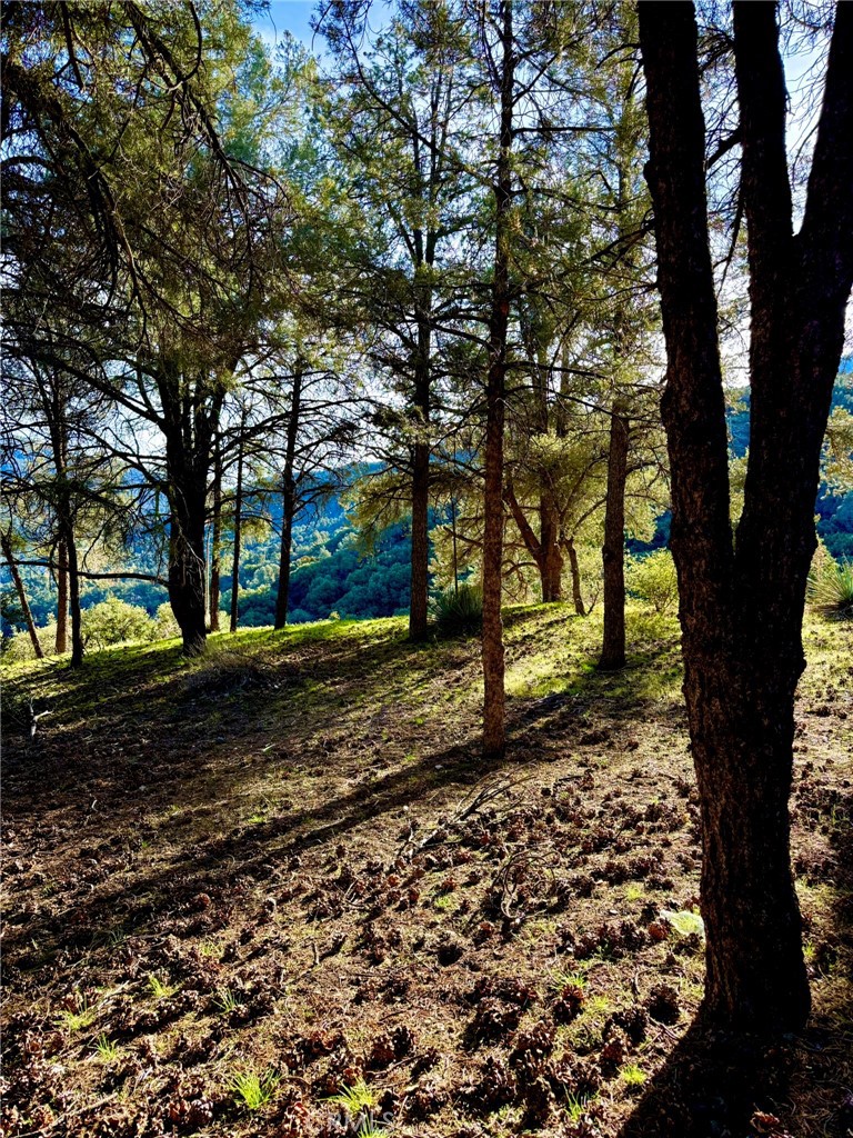 MLS #SR25277954 image #2