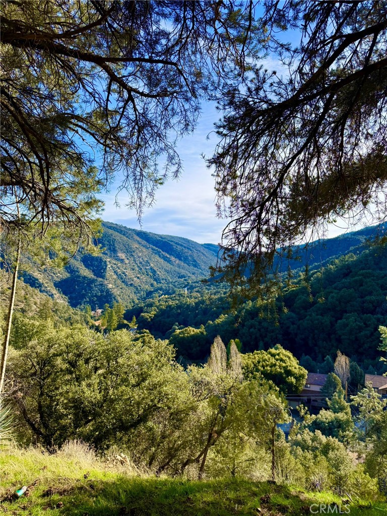 MLS #SR25277954 image #3