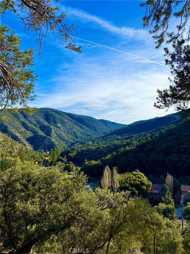 MLS #SR25277954 image #4