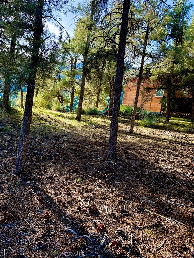 MLS #SR25277954 image #5