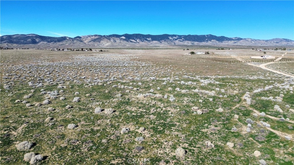 MLS #SR25278191 image #4