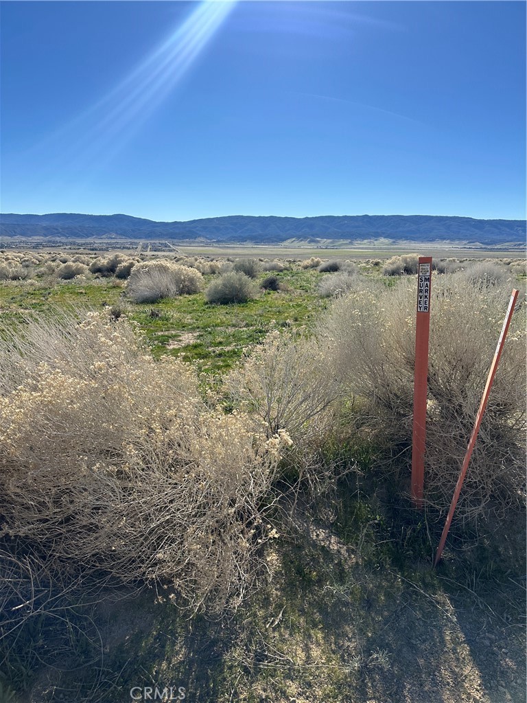 MLS #SR25278191 image #8