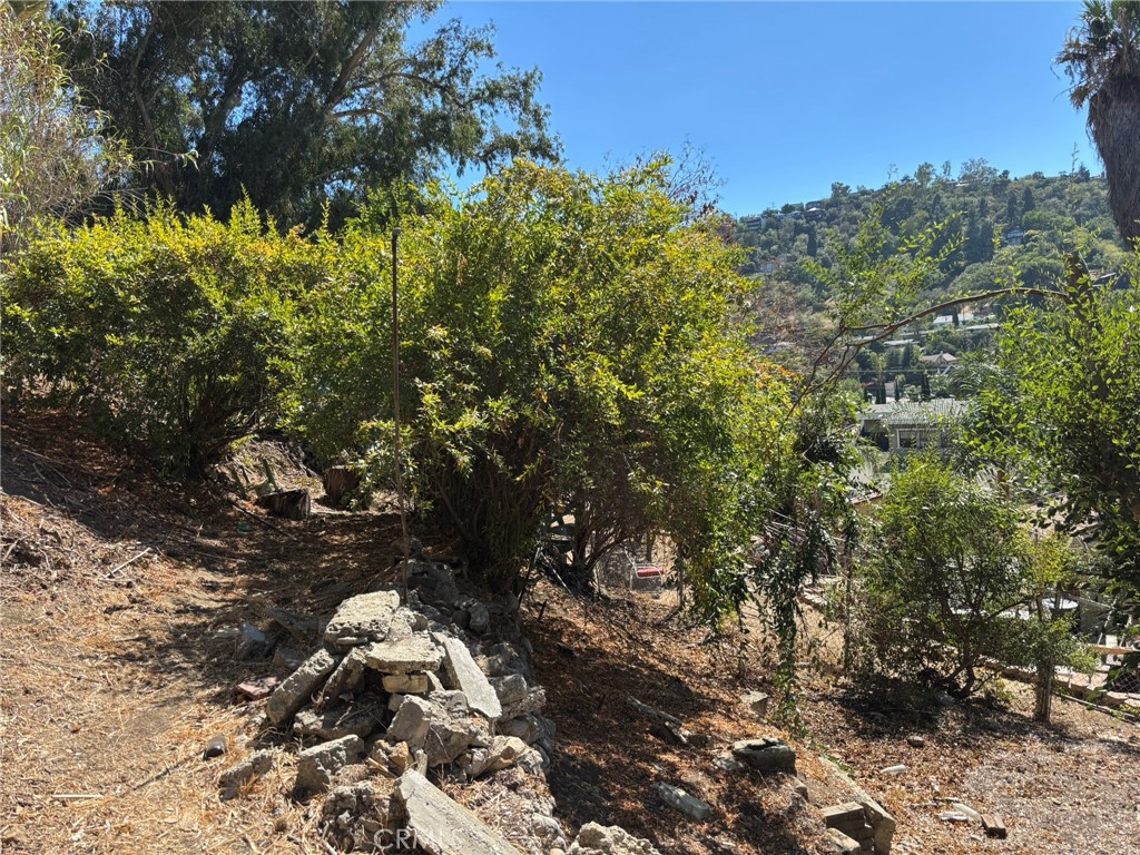 MLS #SR25278290 image #1