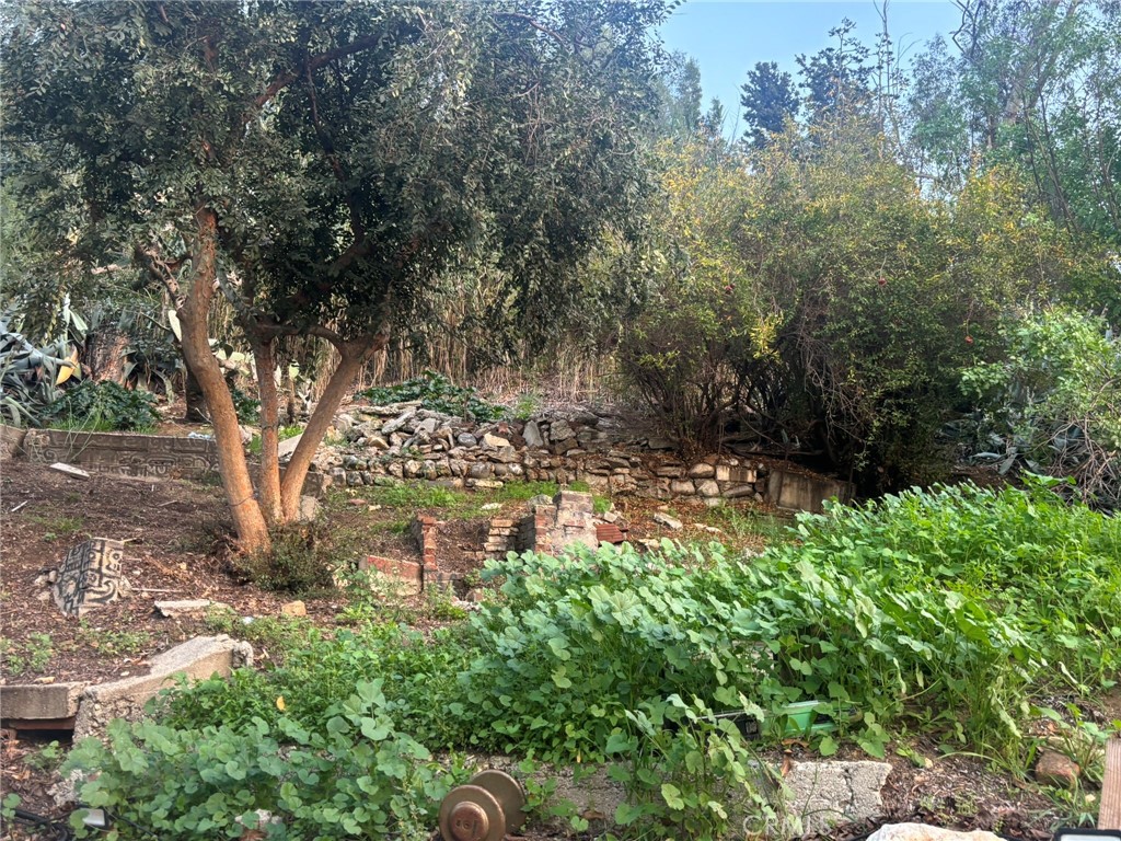 MLS #SR25278290 image #11