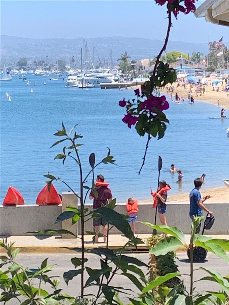 MLS #SR25279001 image #39